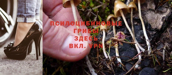 герыч Каменск-Шахтинский