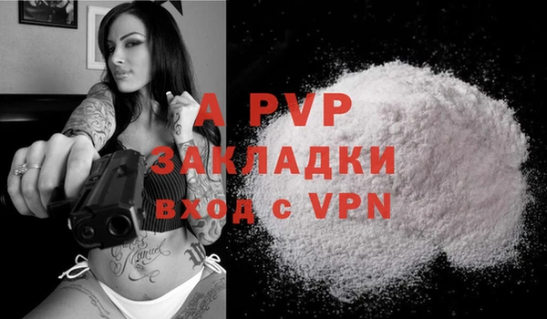 дмт Карпинск